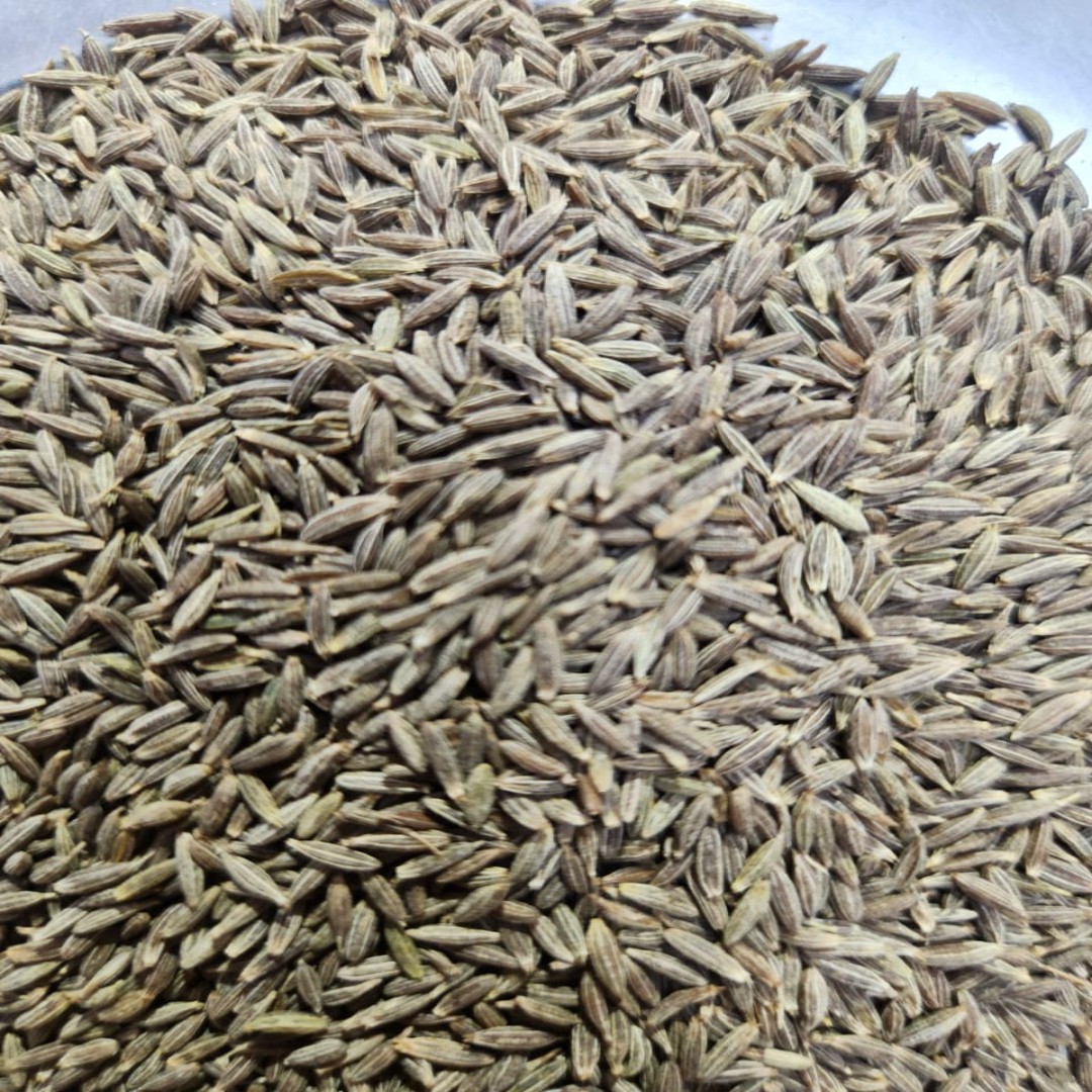 Cumin seeds